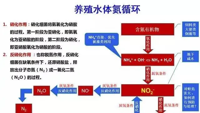 谈谈养殖池塘水体中的亚硝酸盐