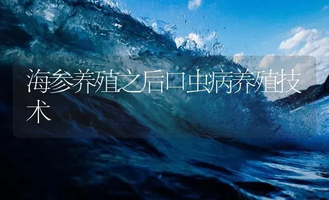 海参养殖之后口虫病养殖技术 | 海水养殖