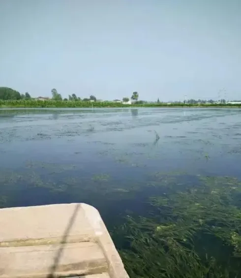 水产养殖户不可不知的三大水质指标