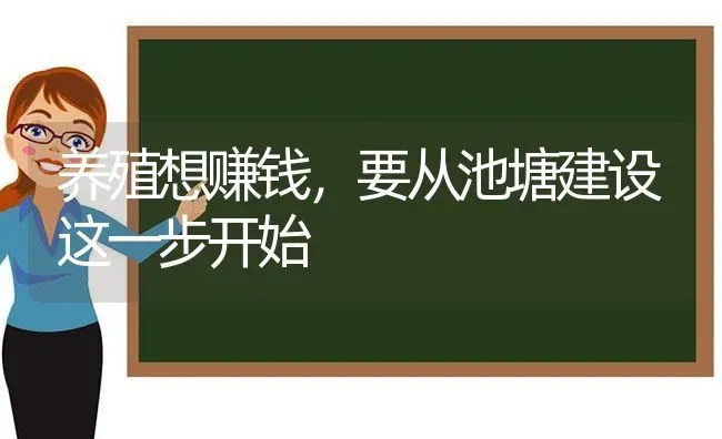 养殖想赚钱，要从池塘建设这一步开始 | 动物养殖百科