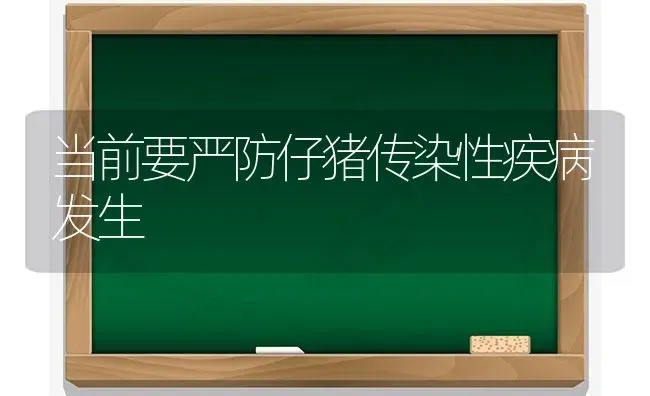 当前要严防仔猪传染性疾病发生 | 家畜养殖