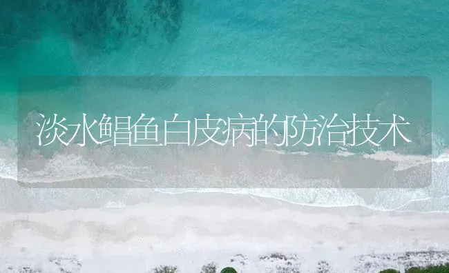 淡水鲳鱼白皮病的防治技术 | 海水养殖