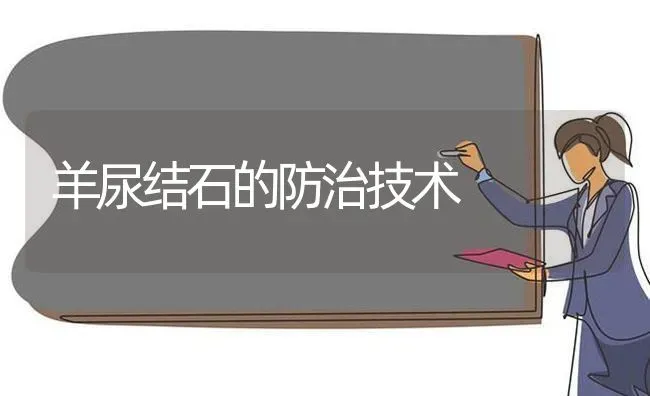 羊尿结石的防治技术 | 家畜养殖