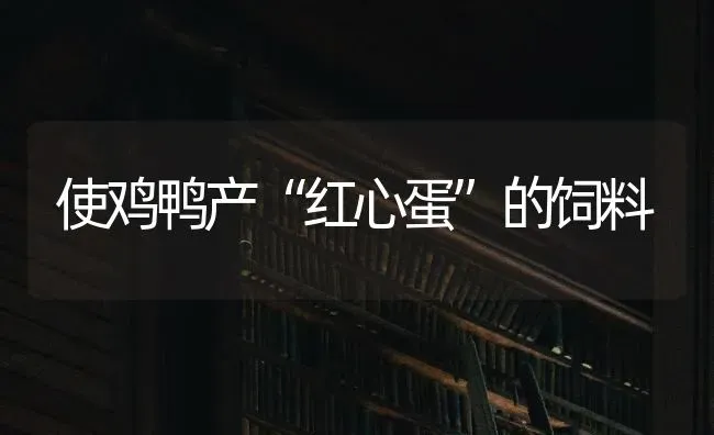 使鸡鸭产“红心蛋”的饲料 | 家禽养殖