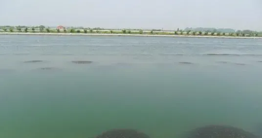 罗荣和：一月至十二月河蟹养殖口令