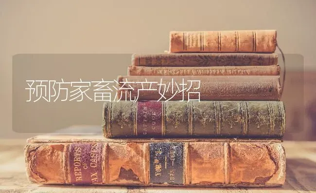 预防家畜流产妙招 | 家畜养殖