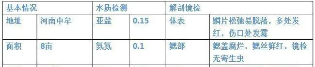 解毒保肝素处理草鱼混合感染的案例分享