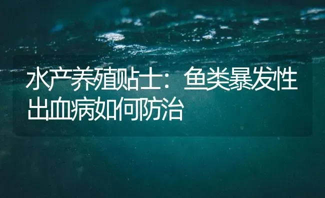 水产养殖贴士：鱼类暴发性出血病如何防治 | 养殖病虫害防治