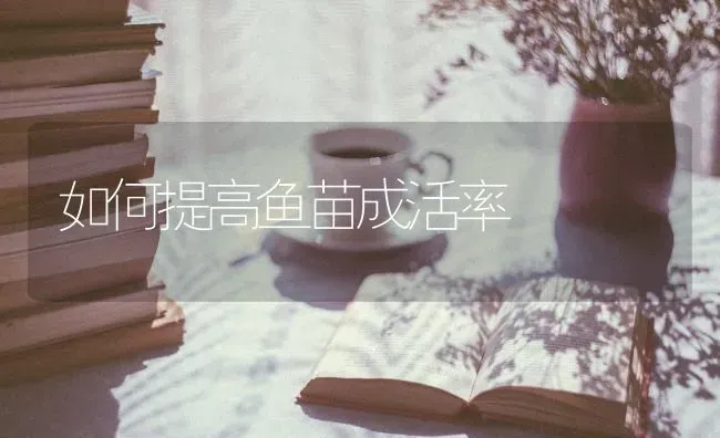 如何提高鱼苗成活率 | 淡水养殖