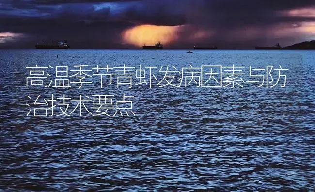 高温季节青虾发病因素与防治技术要点 | 海水养殖