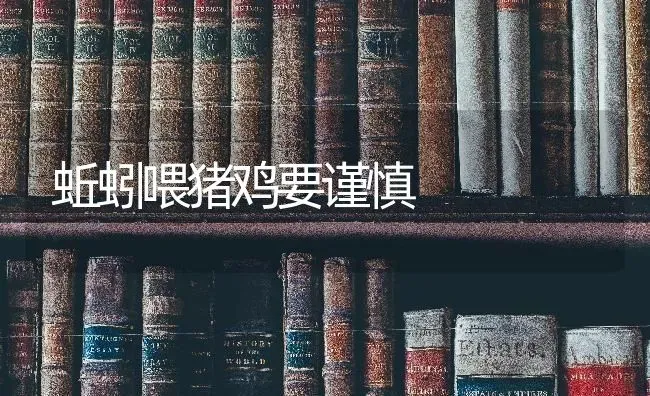 蚯蚓喂猪鸡要谨慎 | 家畜养殖