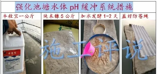 夏季高温、光照时间又长又强和池塘水面的死藻的关系