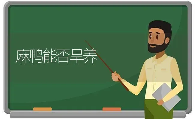 麻鸭能否旱养 | 家禽养殖