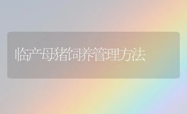 临产母猪饲养管理方法 | 家畜养殖