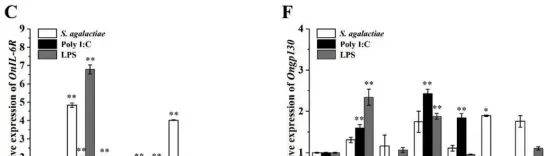 尼罗罗非鱼IL-6受体(IL-6R)和糖蛋白130(Gp130)的分子功能研究