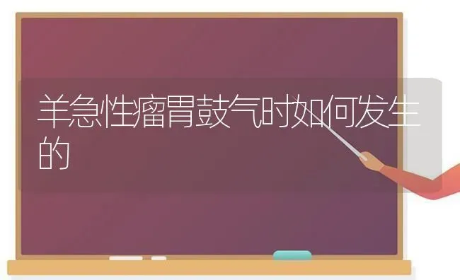 羊急性瘤胃鼓气时如何发生的 | 家畜养殖