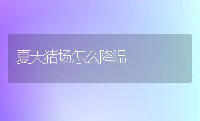 夏天猪场怎么降温 | 家畜养殖