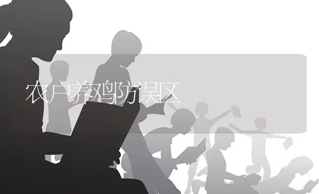 农户养鸡防误区 | 家禽养殖
