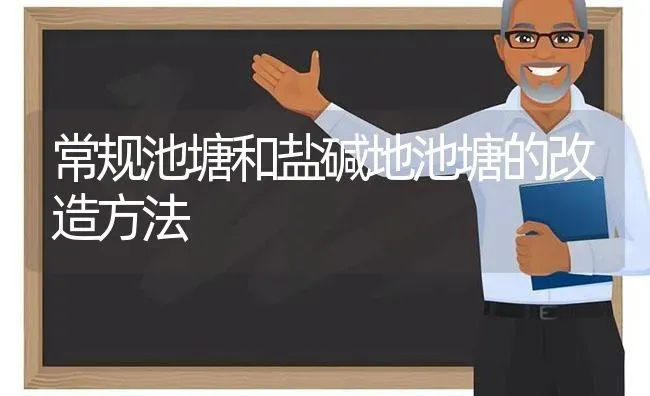 常规池塘和盐碱地池塘的改造方法 | 动物养殖百科