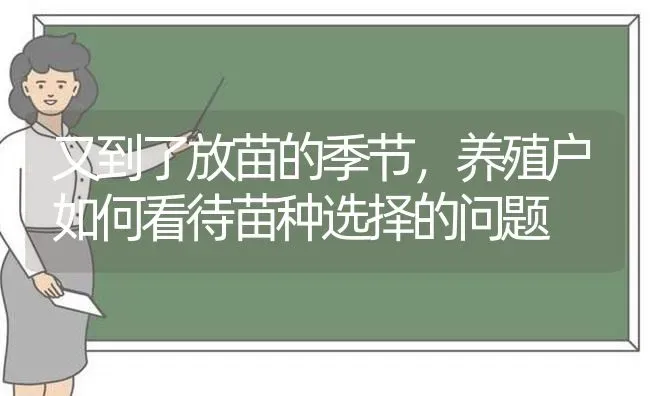 又到了放苗的季节，养殖户如何看待苗种选择的问题 | 动物养殖百科