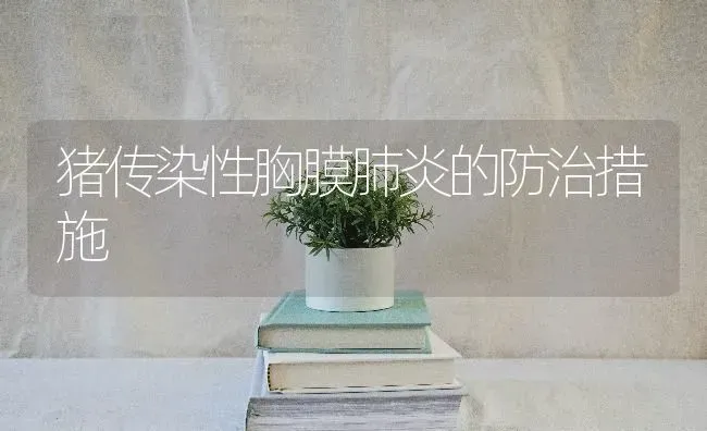 猪传染性胸膜肺炎的防治措施 | 家畜养殖