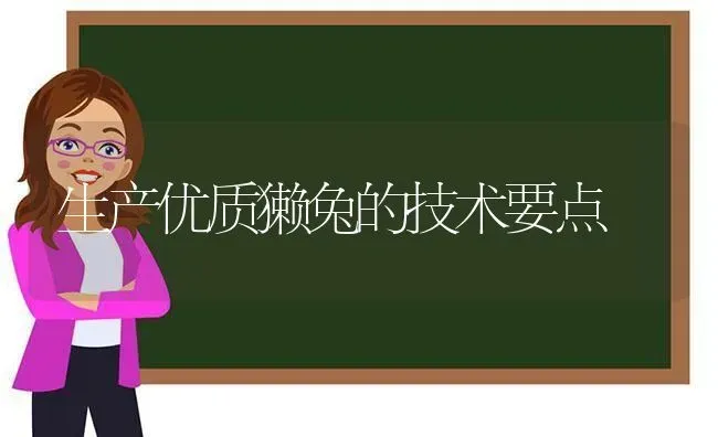 生产优质獭兔的技术要点 | 家畜养殖