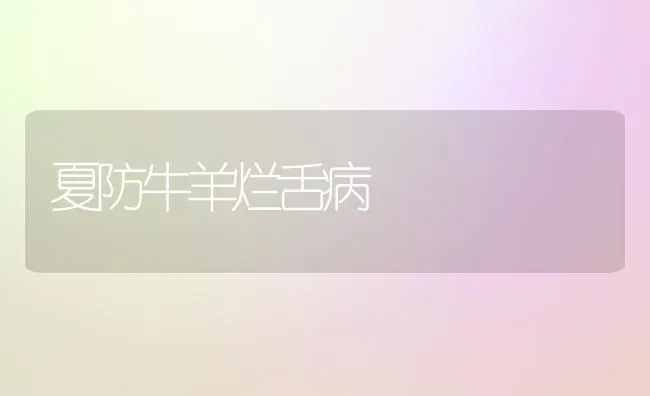 夏防牛羊烂舌病 | 家畜养殖