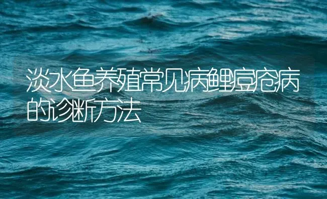淡水鱼养殖常见病鲤痘疮病的诊断方法 | 养殖病虫害防治