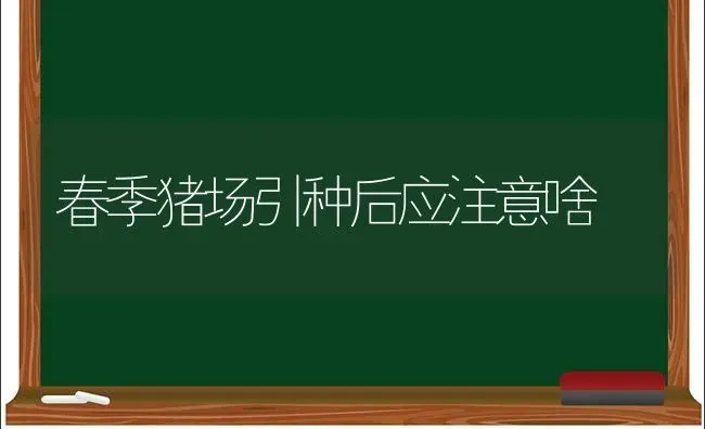 春季猪场引种后应注意啥 | 家畜养殖