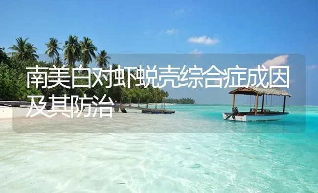 南美白对虾蜕壳综合症成因及其防治 | 海水养殖