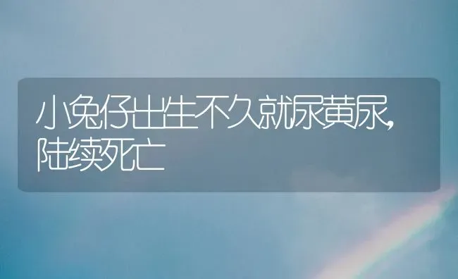 小兔仔出生不久就尿黄尿，陆续死亡 | 家畜养殖