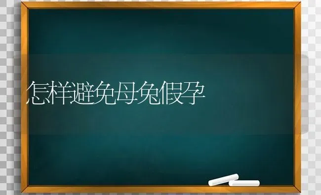 怎样避免母兔假孕 | 家畜养殖