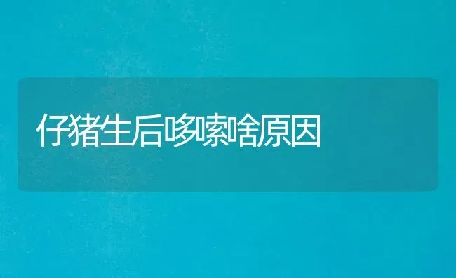 仔猪生后哆嗦啥原因 | 家畜养殖