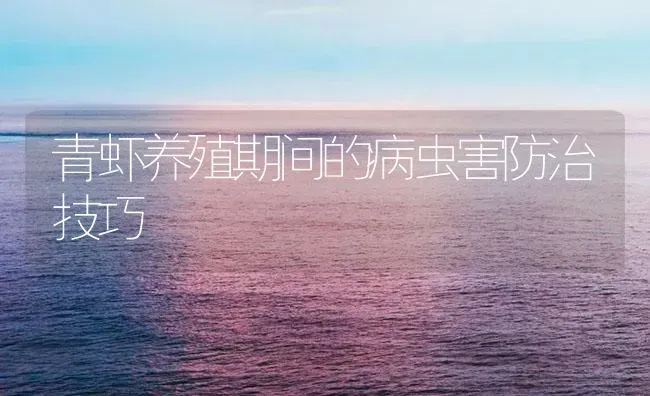 青虾养殖期间的病虫害防治技巧 | 海水养殖