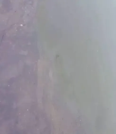 连续阴雨天虾蟹混养池塘的注意事项