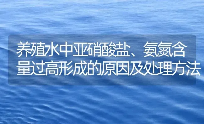 养殖水中亚硝酸盐、氨氮含量过高形成的原因及处理方法 | 动物养殖百科