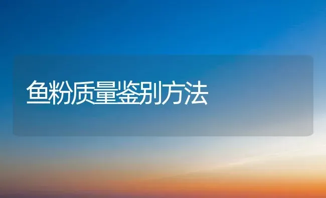 鱼粉质量鉴别方法 | 淡水养殖