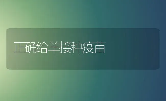 正确给羊接种疫苗 | 家畜养殖