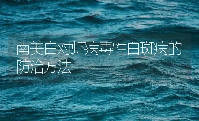 南美白对虾病毒性白斑病的防治方法 | 海水养殖