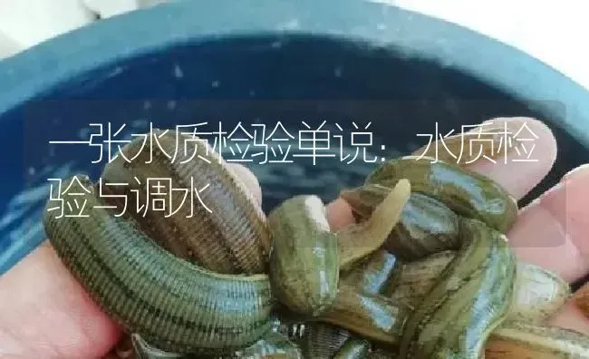 一张水质检验单说：水质检验与调水 | 特种养殖