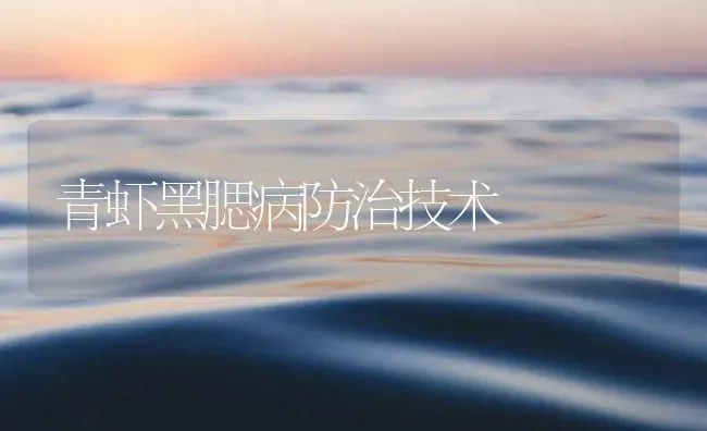 青虾黑腮病防治技术 | 海水养殖