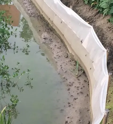 处理蟹苗体质偏弱抗应激和解毒能力差导致上岸一例