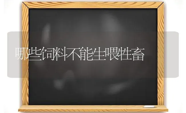 哪些饲料不能生喂牲畜 | 动物养殖饲料