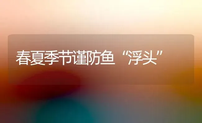 春夏季节谨防鱼“浮头” | 淡水养殖