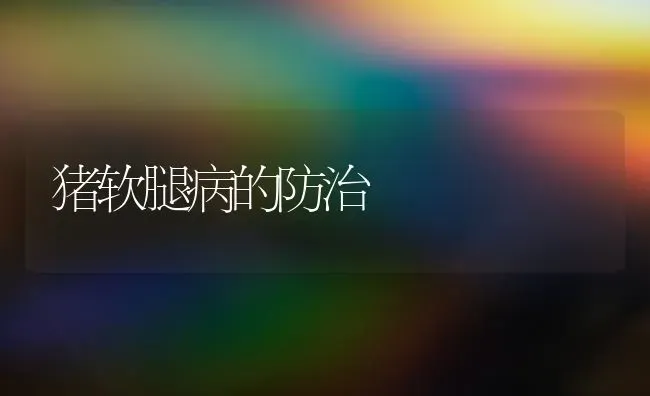 猪软腿病的防治 | 家畜养殖