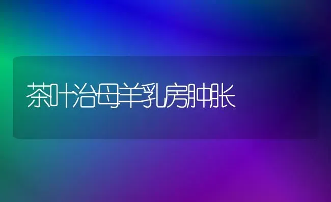 茶叶治母羊乳房肿胀 | 家畜养殖