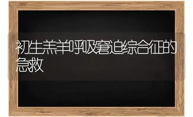 初生羔羊呼吸窘迫综合征的急救 | 家畜养殖