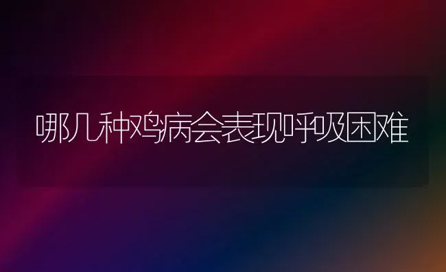 哪几种鸡病会表现呼吸困难 | 家禽养殖