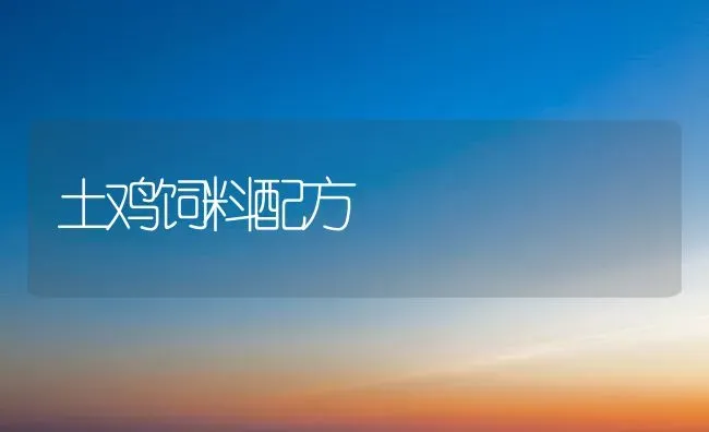 土鸡饲料配方 | 家禽养殖
