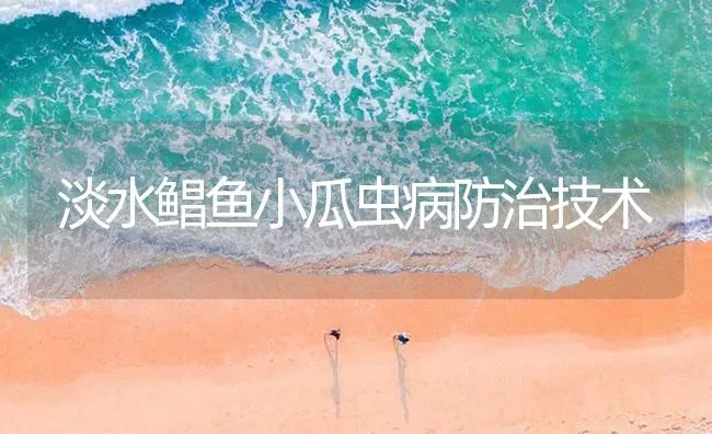 淡水鲳鱼小瓜虫病防治技术 | 海水养殖